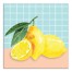 Lemon Still Life 16x16 Canvas Wall Art