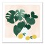 Monstera and Lemons 20x20 Canvas Wall Art