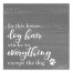 Dog Hair Sticks to Everything 16x16 Canvas Wall Art