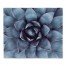 Blue Succulent 34x40 Tapestry