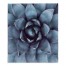 Blue Succulent 57x57 Tapestry