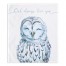 Owl Love Blue 34x40 Tapestry