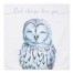Owl Love Blue 57x57 Tapestry