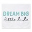Dream Big Dude Blue 34x40 Tapestry