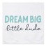 Dream Big Dude Blue 57x57 Tapestry