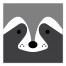 Raccoon Face Wall Art