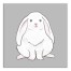 Fluffy Bunny Wall Art