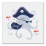 Ahoy Octopus  Wall Art