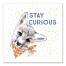 Stay Curious Fox Wall Art