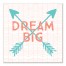 Dream Big Wall Art