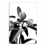 Black And White Leaves 12x18 Canvas Wall Art