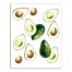 Avocados Bunch 11x14 Canvas Wall Art