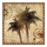 Hemmingway Palm Top  12x12 Canvas Wall Art