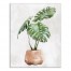 Monstera In Clay Pot 16x20 Canvas Wall Art