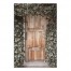 Wooden Door With Ivy  20x30 Canvas Wall Art