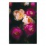 Dark Painted Magenta Flowers 20x30 Canvas Wall Art