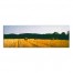 Golden Wheat Field Painted 36x12 Canvas Wall Art
