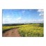 Walking Path In Field 30x20 Canvas Wall Art