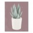 Boho Plant 11x14 Canvas Wall Art