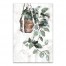 Hand Painted Plants 20x30 Canvas Wall Art