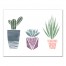 Succulent Babes 14x11 Canvas Wall Art