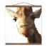 Abstract Painted Giraffe 16x16 Teak Hanging Canvas