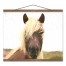 Painted Brown Emo Horse 20x16 Teak Hanging Canvas