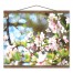 Sketchy Paint Blooms 16x20 Teak Hanging Canvas