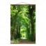 Green Forest Path Bright 20x30 Teak Hanging Canvas