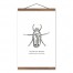 Grapevine Beetle 12x18 Teak Hanging Canvas