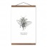 Jewel Beetle 12x18 Teak Hanging Canvas