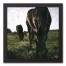 High Contrast Horse 12x12 Black Framed Canvas