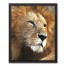 Painted Lion Face 20x16 Black Framed Canvas