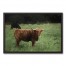 Painted Sketch Hairy Cow 30x20 Black Framed Canvas