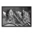 Sketch  Zebras Grayscale 30x20 Black Framed Canvas