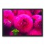 Bright Pink Pom Flowers 30x20 Black Framed Canvas