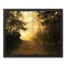 Golden Walking Path 20x16 Black Framed Canvas