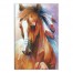 Native American Horse 20x30 Canvas Wall Art