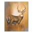 Painted Brown Buck 16x20 Canvas Wall Art