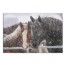 Snowy Horses  24x16 Canvas Wall Art
