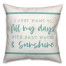 Salt Water And Sunshine Pillow
