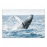 Splashing Whale 24x16 Canvas Wall Art