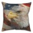 Patriotic Eagel 18x18 Spun Poly Pillow