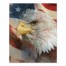 Patriotic Eagel 8x10 Tabletop Canvas