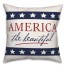 America The Beautiful 18x18 Spun Poly Pillow