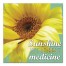 Sunshine Is The Best Medicine 16x16 Canvas Wall Art