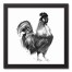 B&W Ink Rooster 12x12 Black Framed Canvas