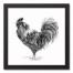 B&W Ink Rooster 12x12 Black Framed Canvas