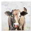 Painterly Cow And Bird 20x20 Canvas Wall Art