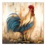 Acorn Rooster 24x24 Canvas Wall Art